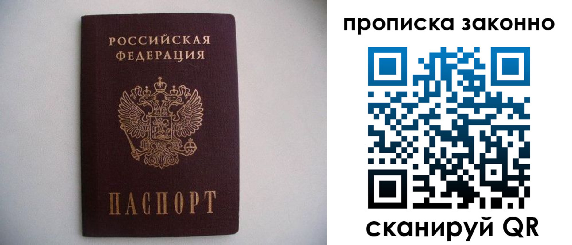 прописка для школы в Лыткарино